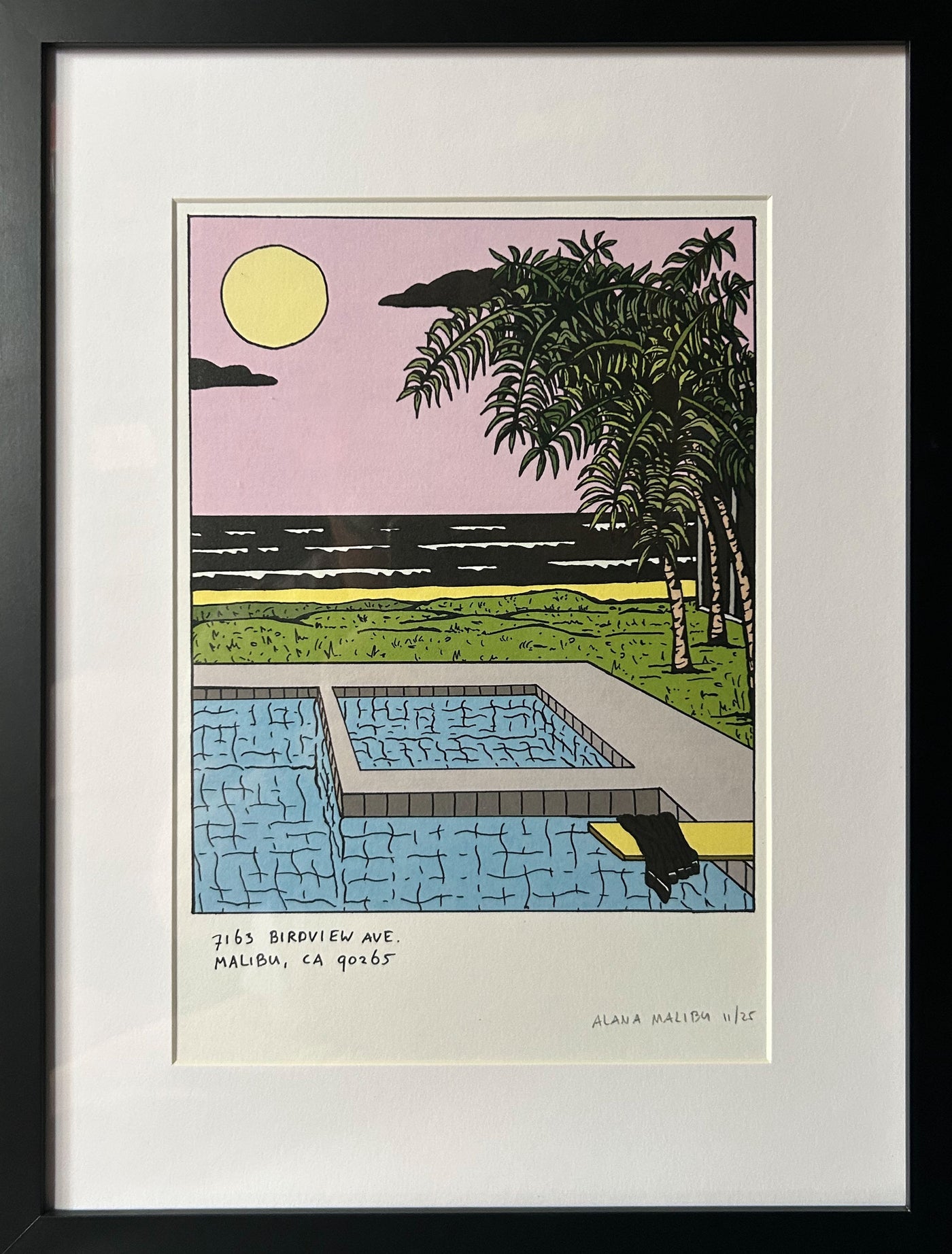 Bird View Ave Framed