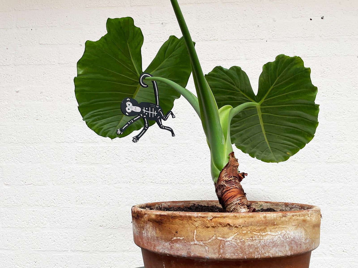 SPIDER MONKEY #2 – Small Art Object