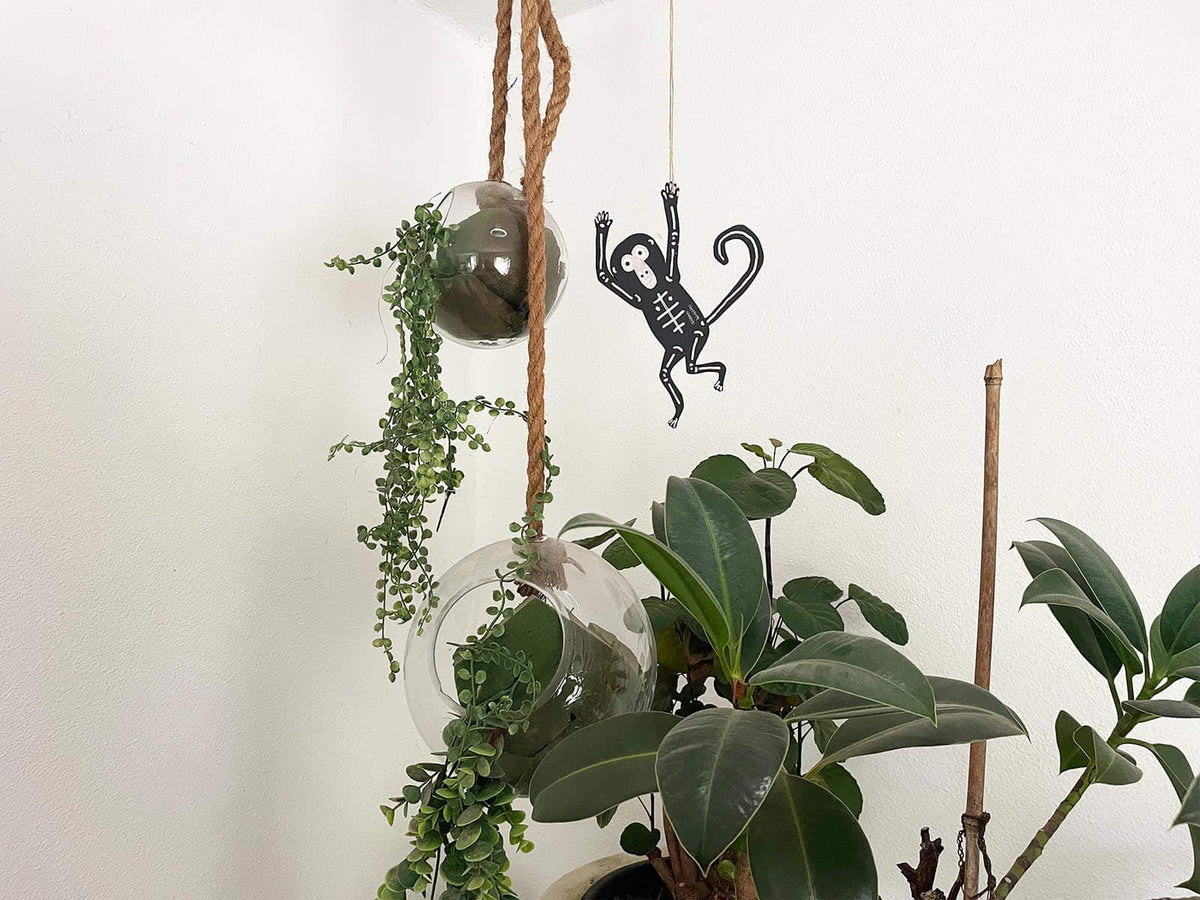 SPIDER MONKEY #4 – Small Art Object
