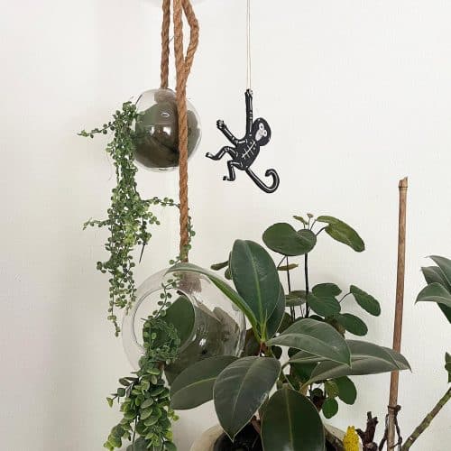 SPIDER MONKEY #5 – Small Art Object