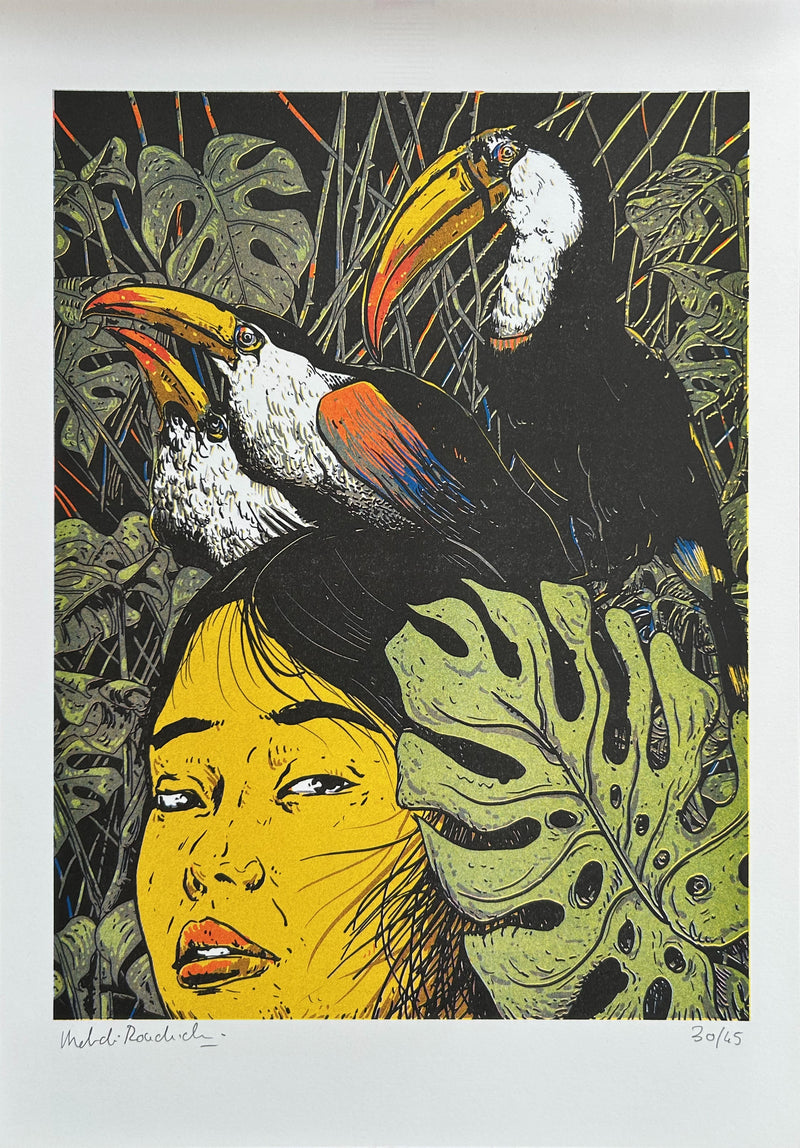 Tropical Heat: Storytellers: Songs for a silent world